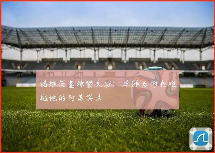 诺维茨基称赞文班：单腿后仰也难逃他的封盖实力