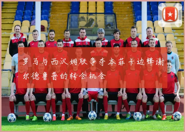 罗马与西汉姆联争夺本菲卡边锋谢尔德鲁普的转会机会